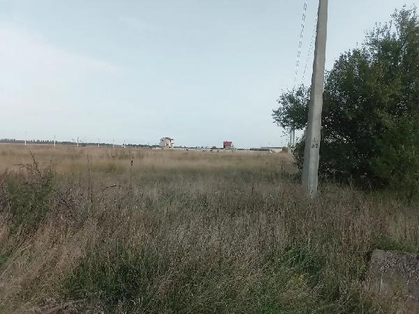  - фото нерухомості